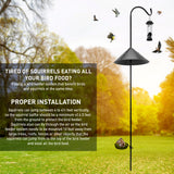 EasyGo Product Shepherd Hook Squirrel Proof Bird Feeder – Wild Bird Station - Powder Coated 90 Inch Steel Pole – Squirrel Baffle – 1 Bird Feeder – 1 Squirrel Peanut Feeder - 5 Prong Base – PATENTS PENDING