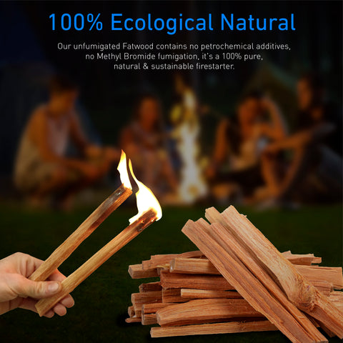 Eco-Stix Fatwood Fire Starter Kindling Firewood Sticks – Bulk Packaged –  EasyGo Products
