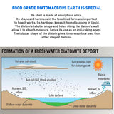 Diatomaceous Earth - DE Fresh Water - 5.5 Pounds