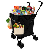 EasyGo Cart Folding Grocery Shopping and Laundry Utility Cart – Removable Water-Resistant Canvas Bag - Front Locking Swivel Wheels – Rear Brakes - Easy Folding - 120lbs Capacity – Copyrighted – Black
